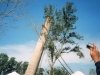 refinery-smoke-stack-6